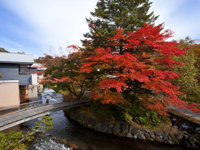 Hoshinoya Karuizawa Villa Olanaklar fotoğraf